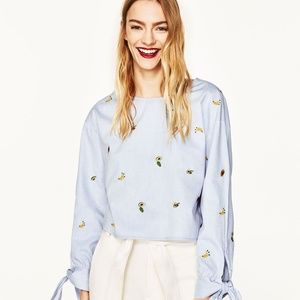 Zara Fruit Avocado Embroidered And 